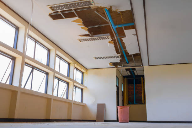 Best Carpet water damage restoration  in Kaser, NY