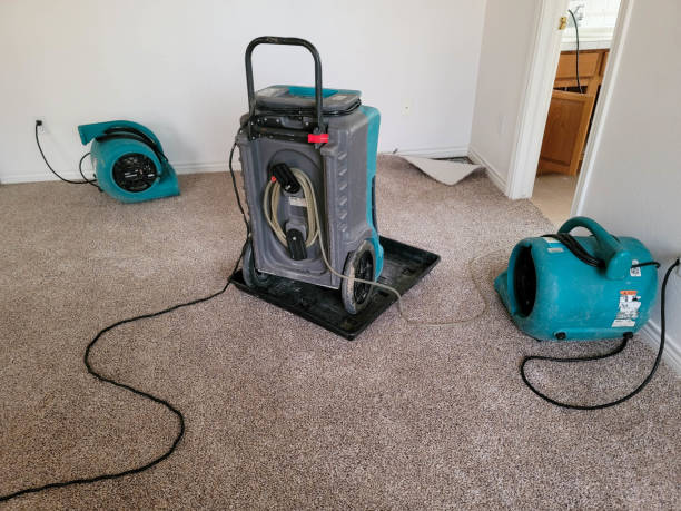Best Water damage contractors near me  in Kaser, NY