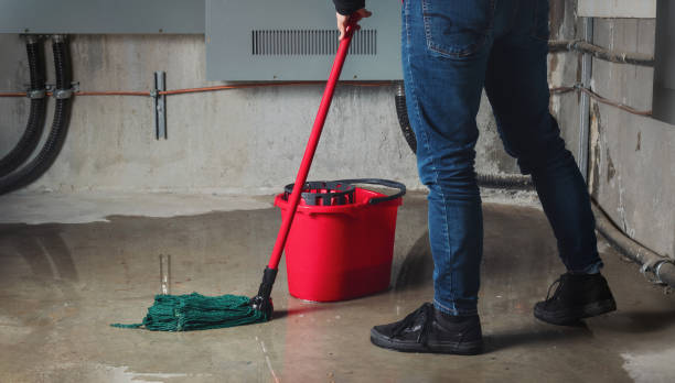 Best Flooded house restoration  in Kaser, NY